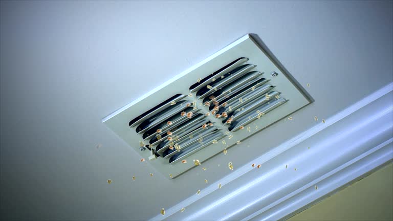 Best Air Duct Cleaning Company Near Me  in Mccook, NE